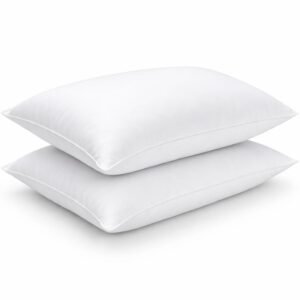 Microfiber Filled Bed Pillow Set